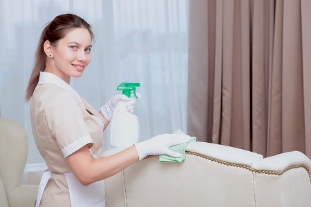 Upholstery Cleaning Near Me Portland